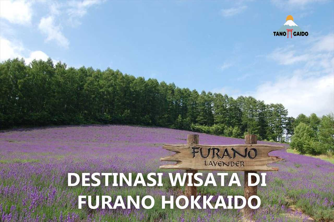 Destinasi Wisata di Furano Hokkaido