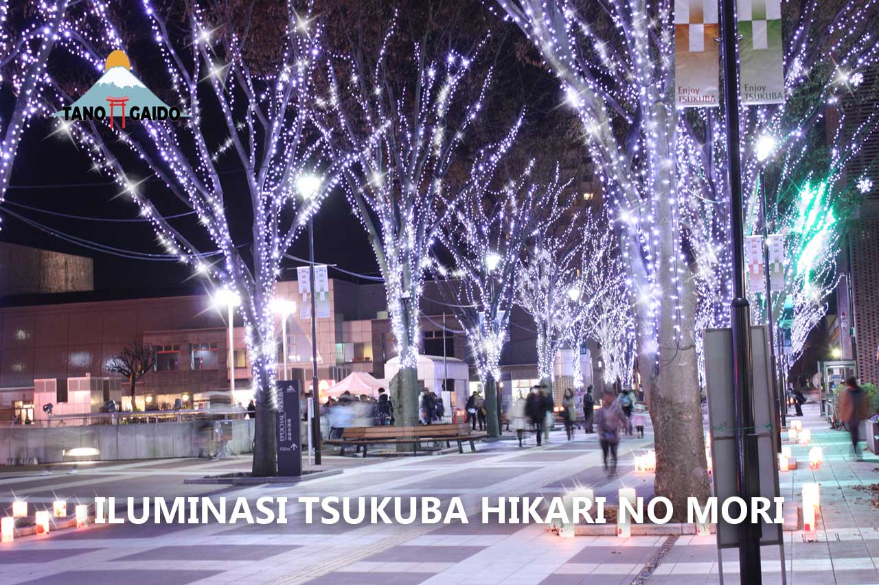 Iluminasi Tsukuba Hikari no Mori