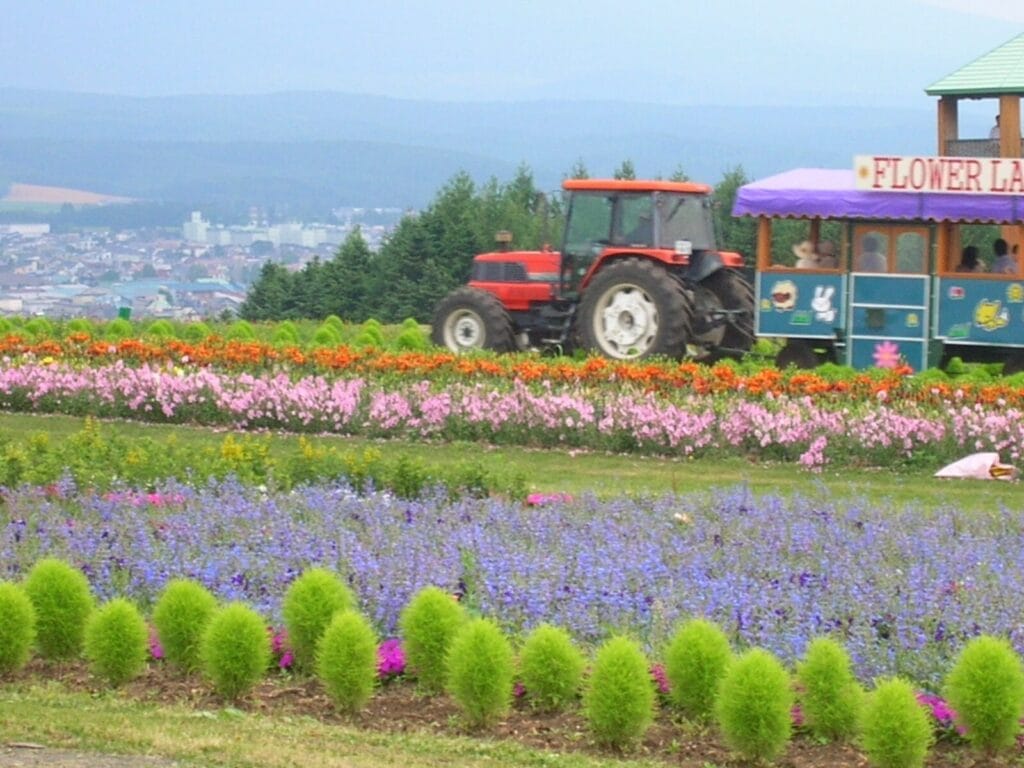 Kebun Kamifurano