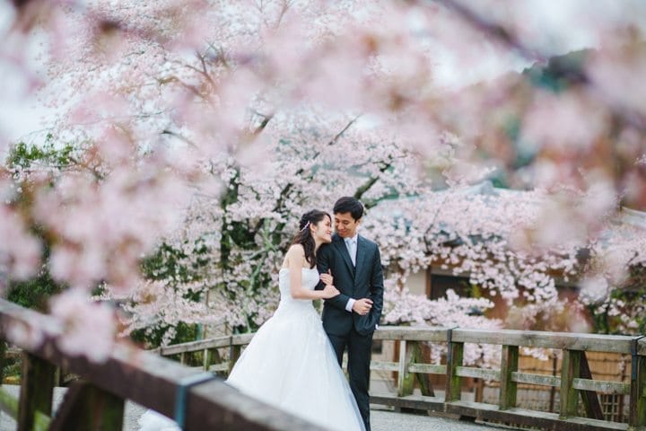 Pre Wedding Diantara Bunga Sakura