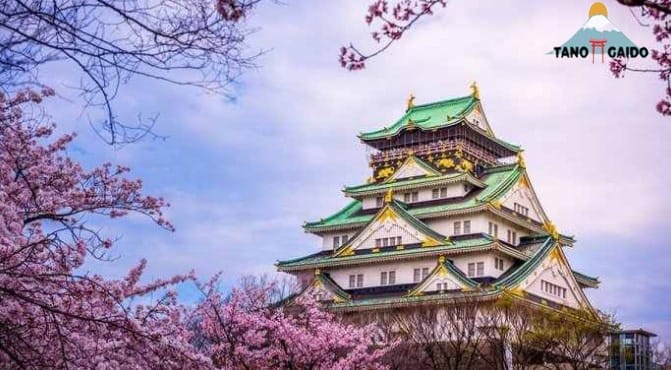 Serunya Liburan di Osaka Jepang