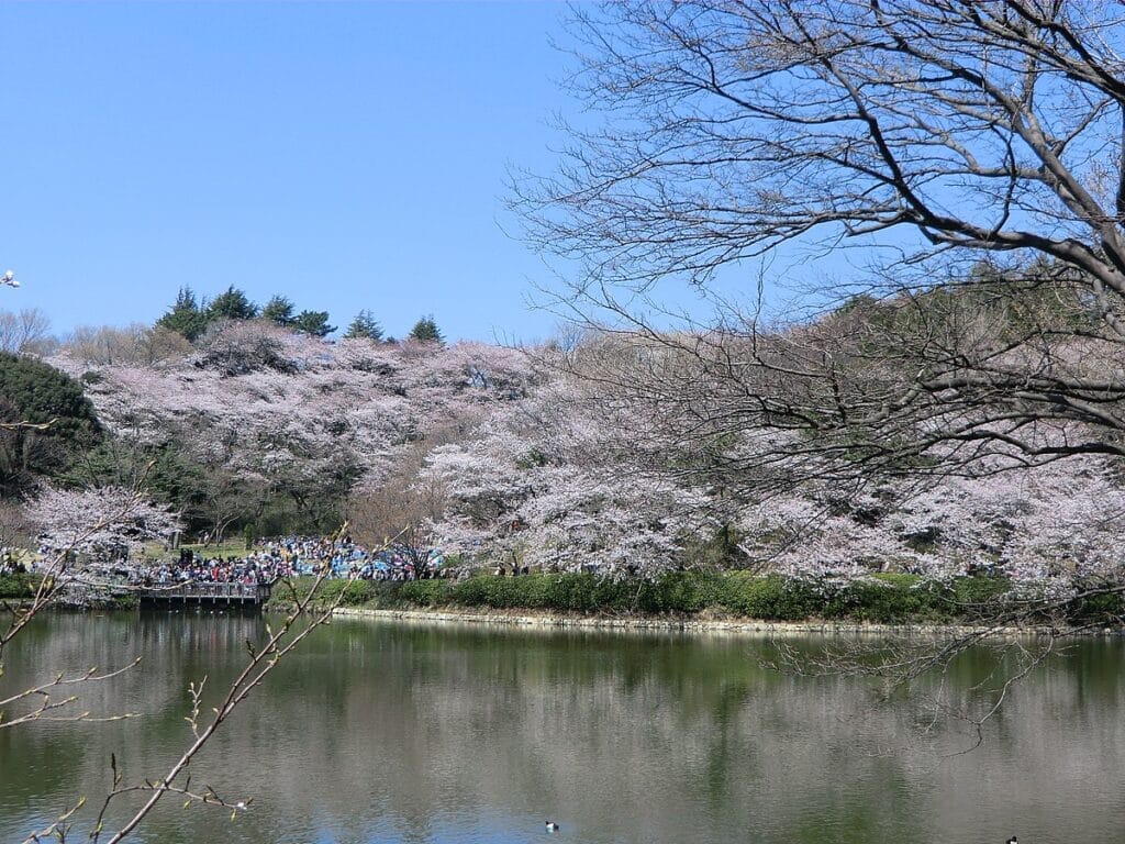 Taman Mitsuike