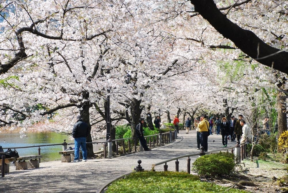 Taman Ueno