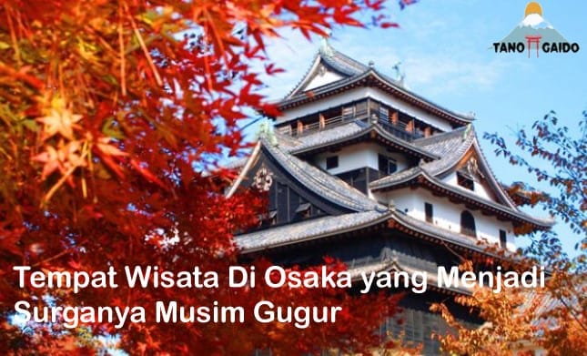 Tempat Wisata Di Osaka yang Menjadi Surganya Musim Gugur