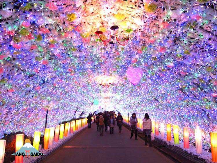 Tokinosumika Gotemba Illumination