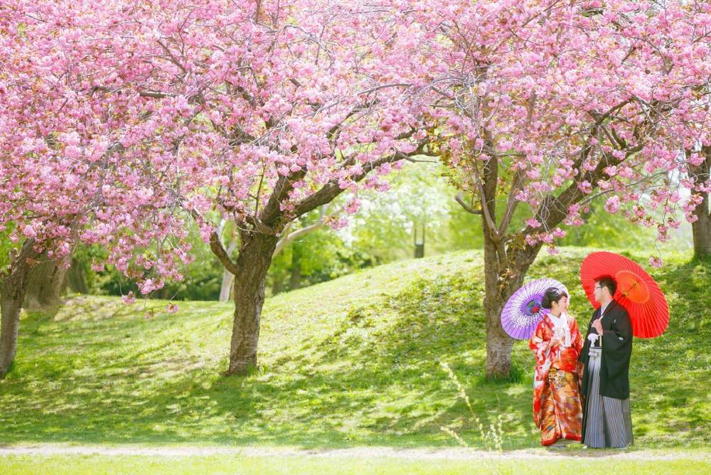 Honeymoon Romantis di Jepang