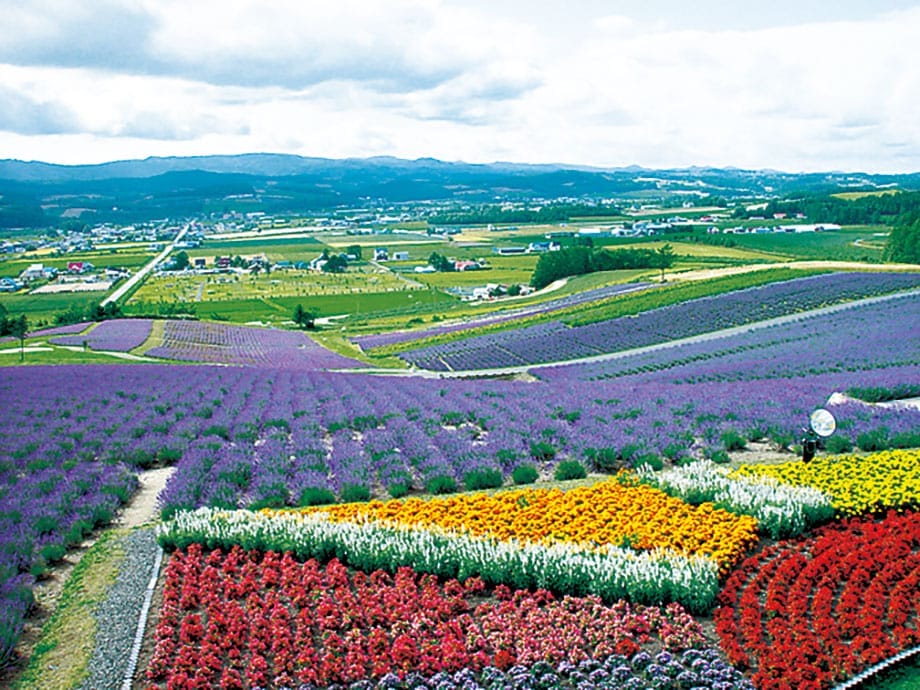 Kamifurano