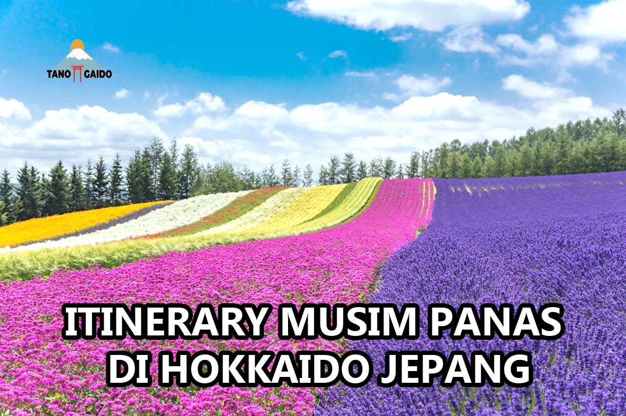 Musim Panas di Hokkaido