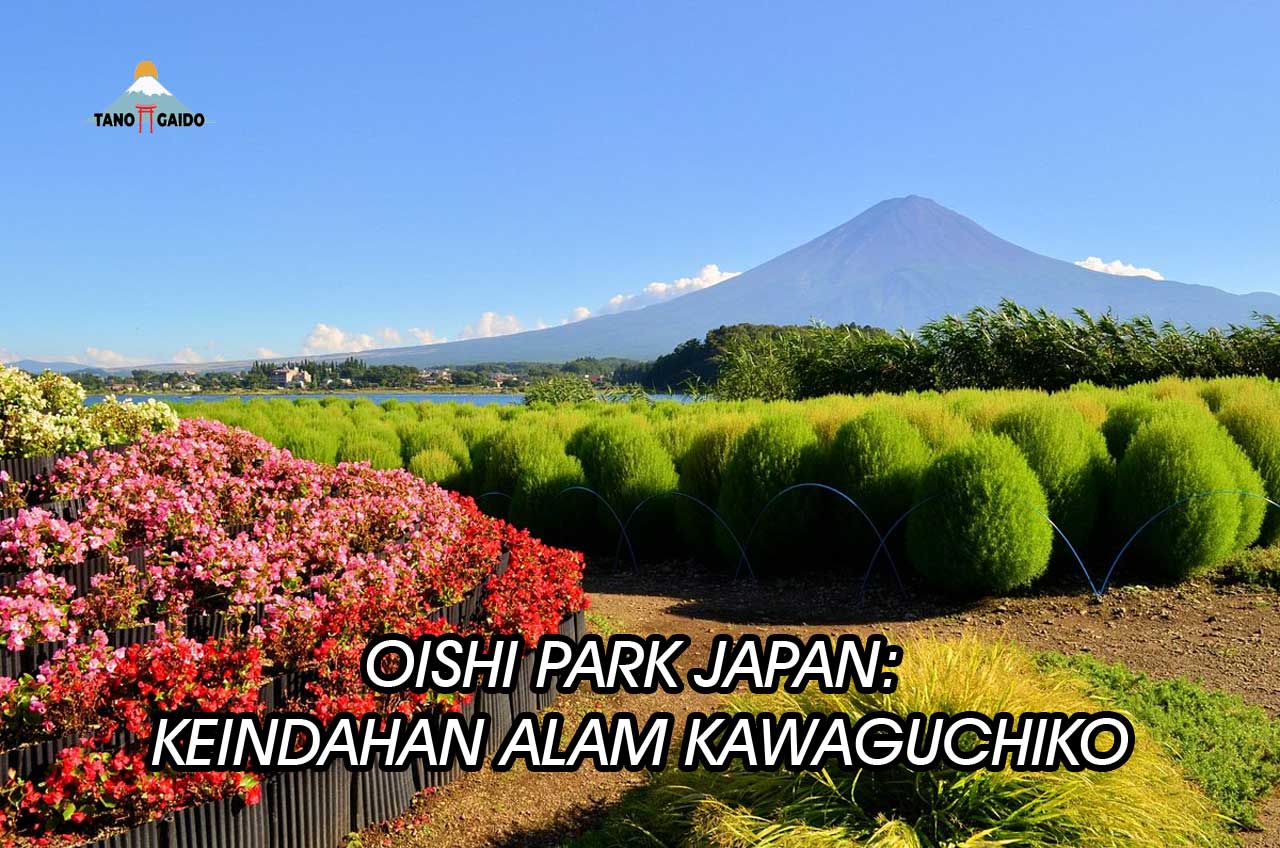 Oishi Park Japan