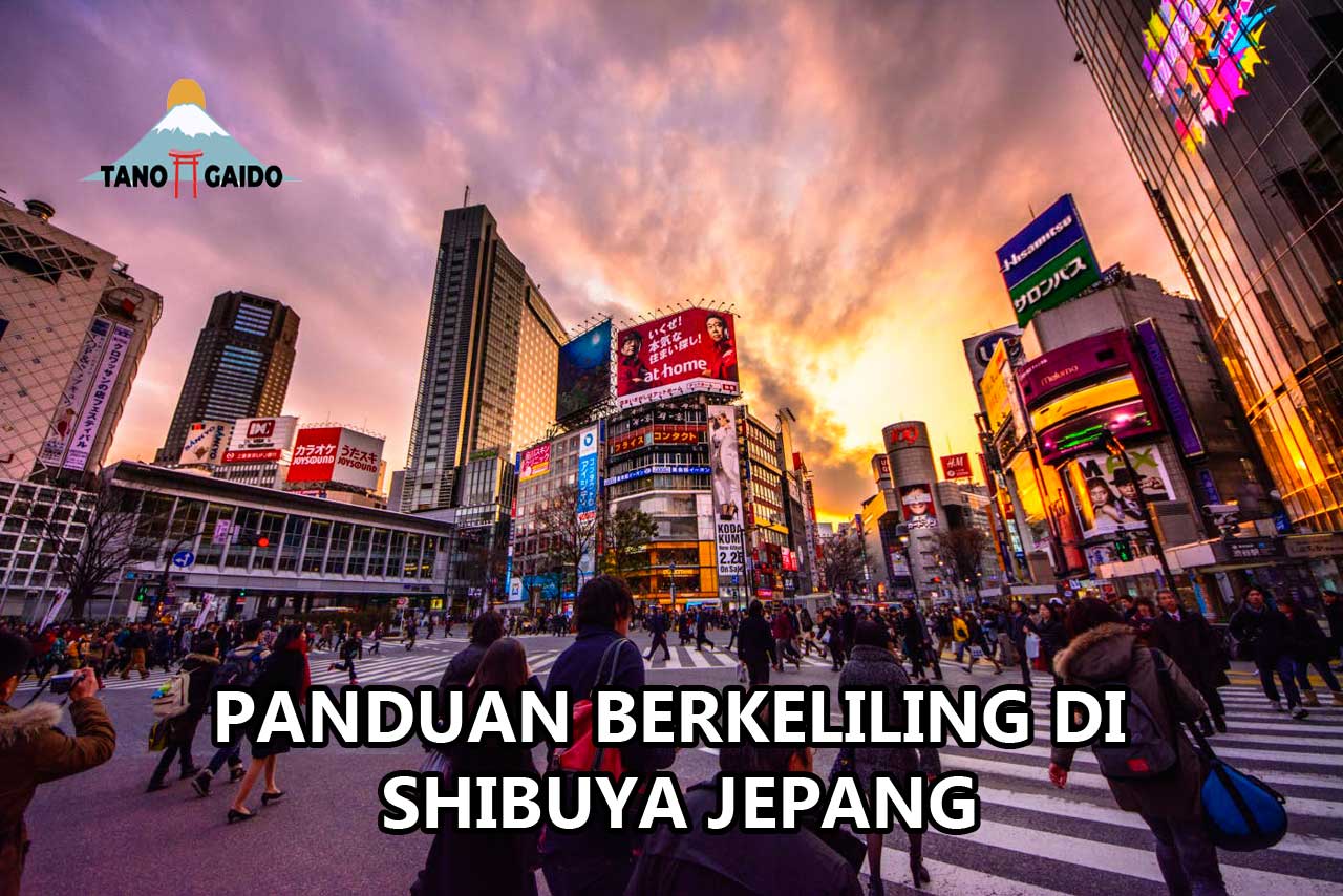 Panduan Berkeliling di Shibuya Jepang