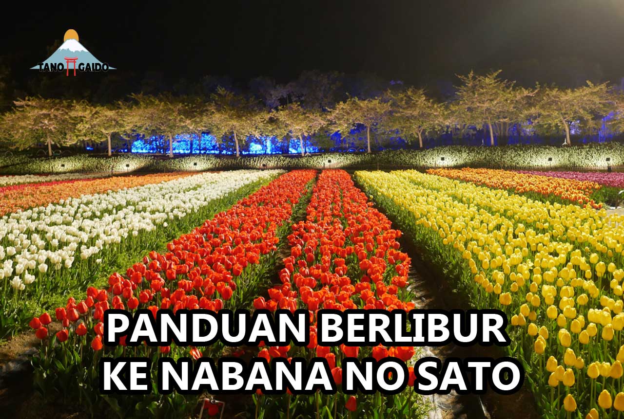 Panduan Berlibur ke Nabana No Sato