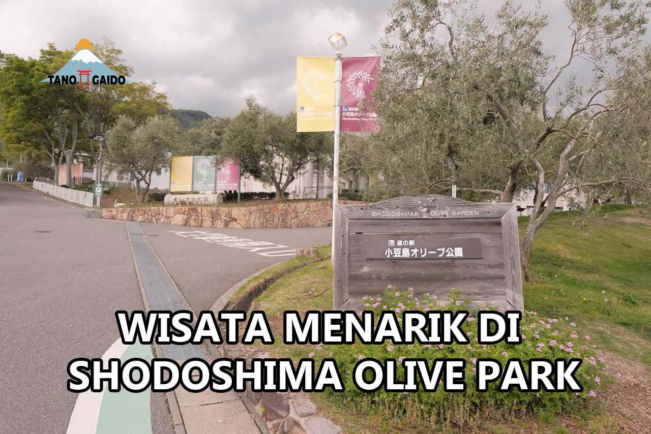 Shodoshima Olive Park