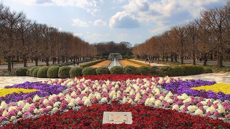 Showa Memorial Park