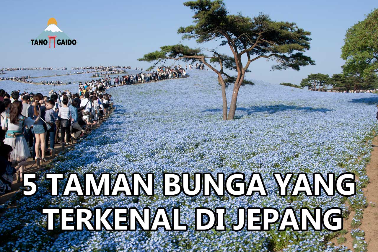 Taman Bunga yang Terkenal di Jepang