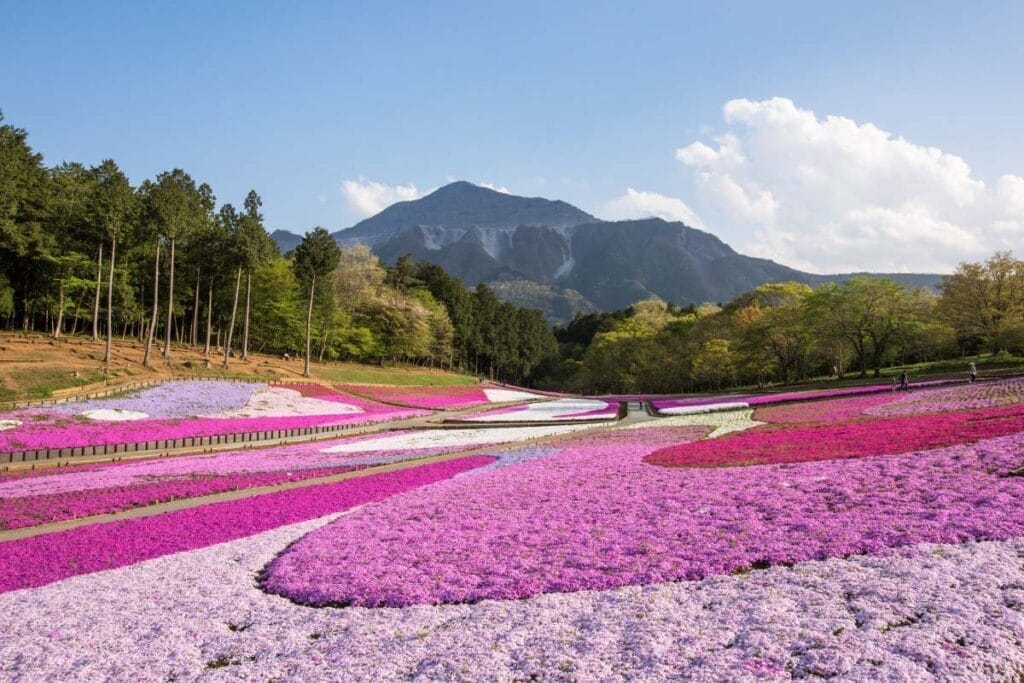 Taman Hitsujiyama