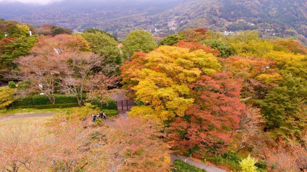 Taman Nasional Fuji-Hakone-Izu