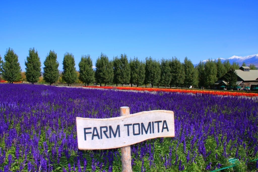 Tomita Farm