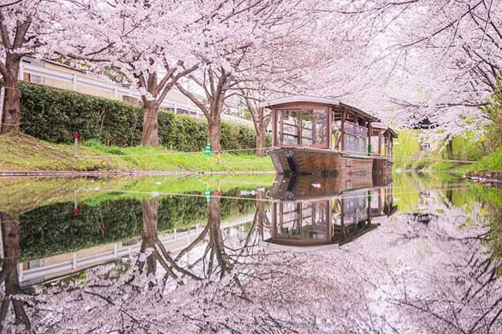 Fushimi jikkokubune Boat