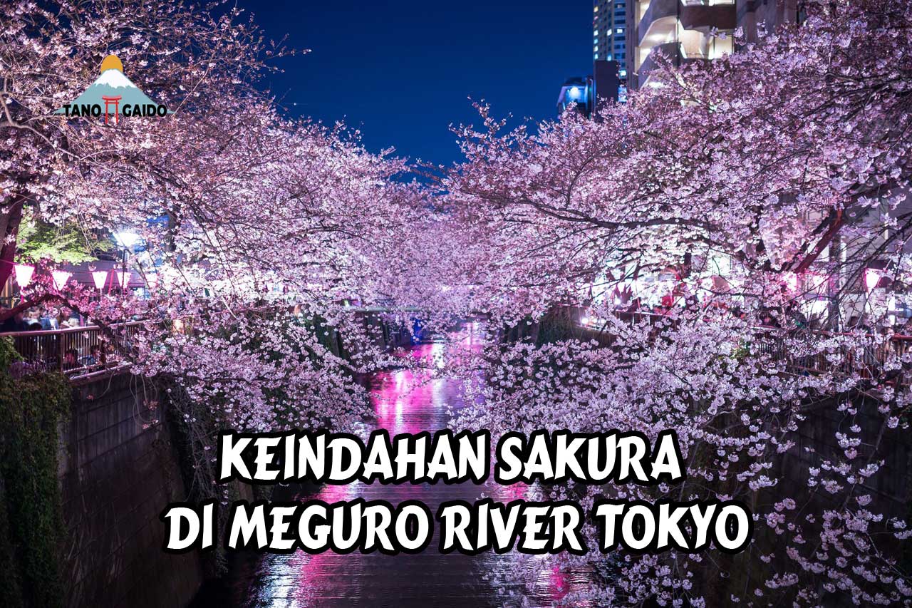 Meguro River