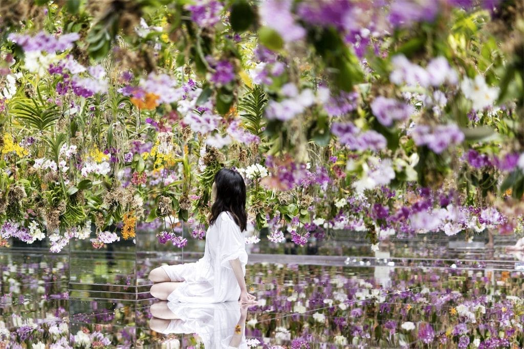 teamLab's digital garden