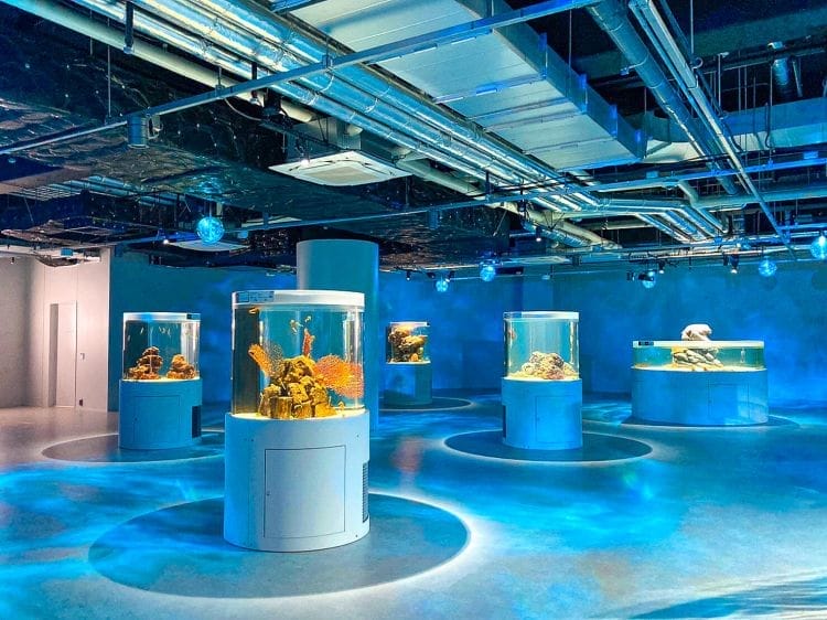 AQUARIUM x ART átoa - Kobe Japan