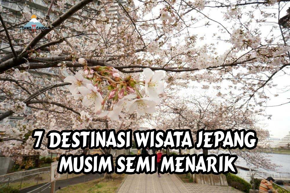 Destinasi Wisata Jepang Musim Semi