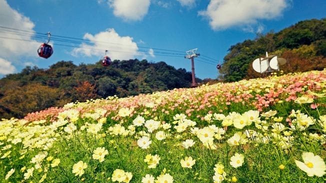Kobe Nunobiki Herb Garden Ropeway