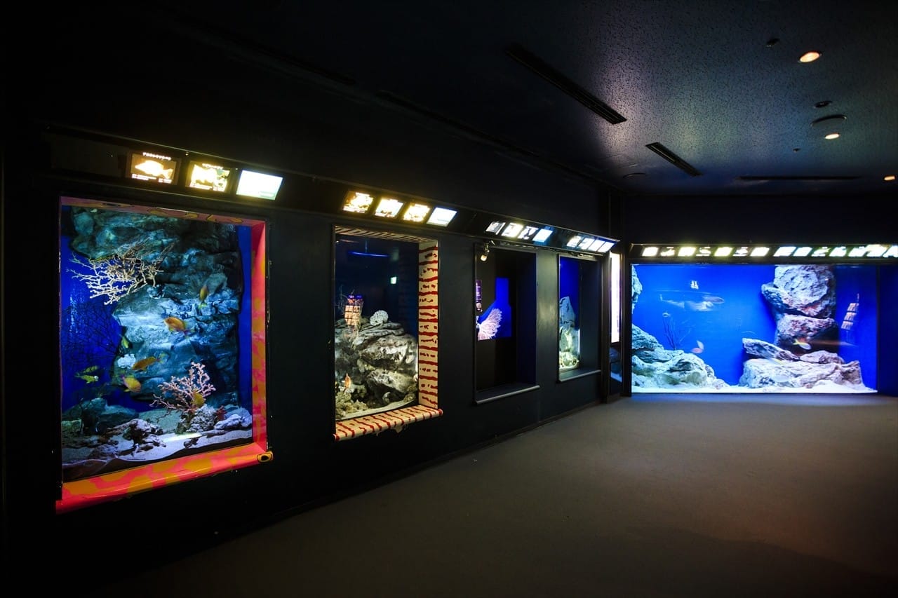 Okinawa Churaumi Aquarium Lantai 1