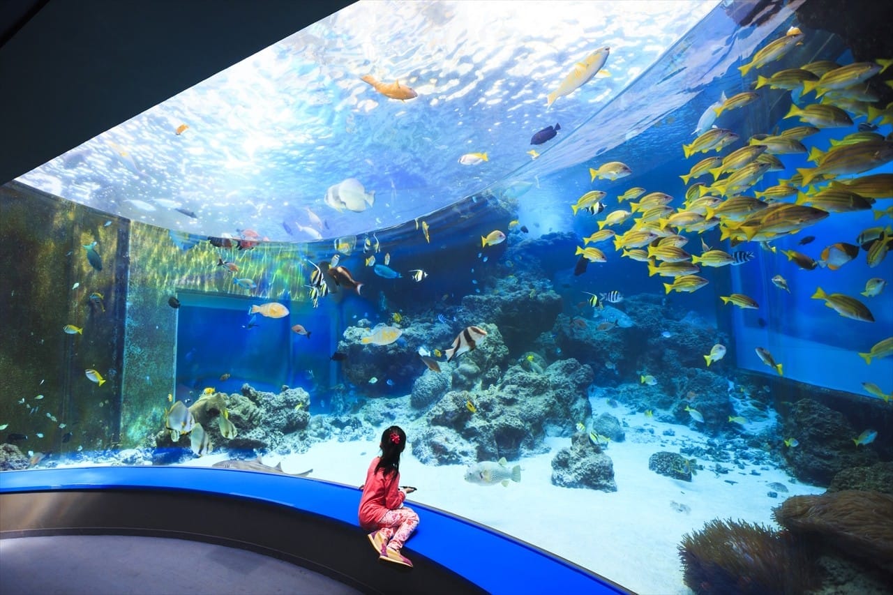 Okinawa Churaumi Aquarium Lantai 3