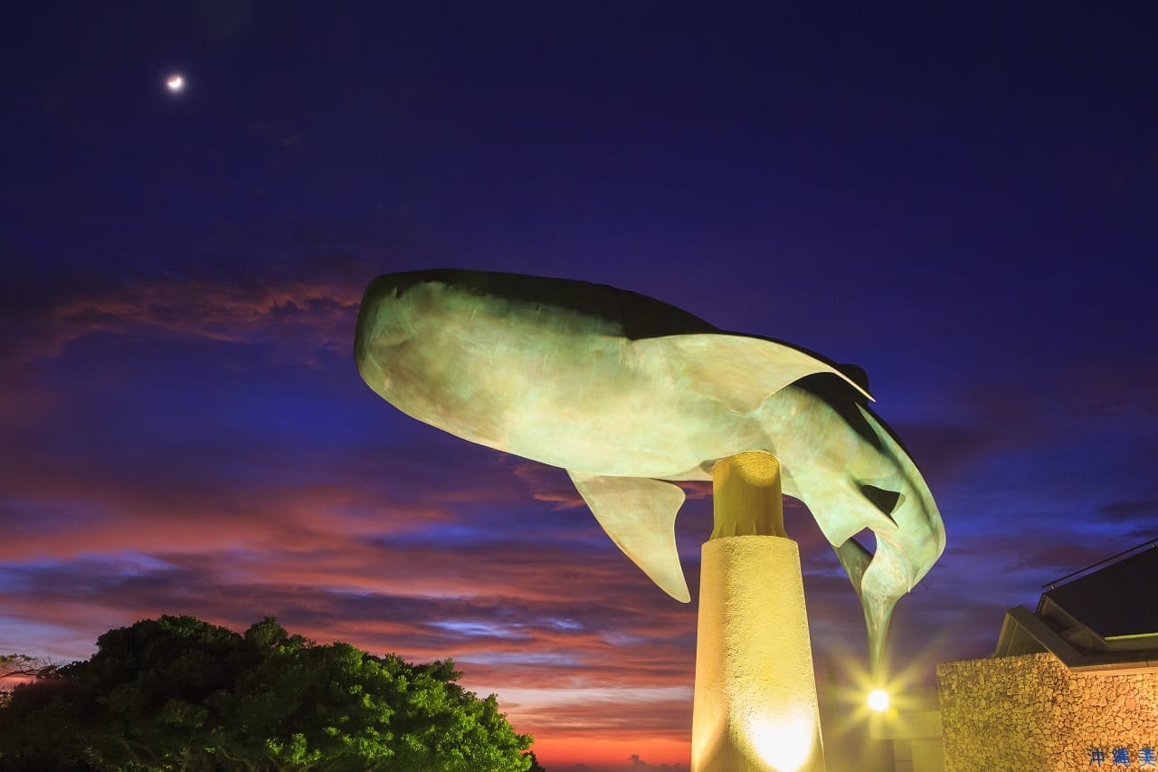 Okinawa Commemorative National Government Park (Ocean Expo Park)