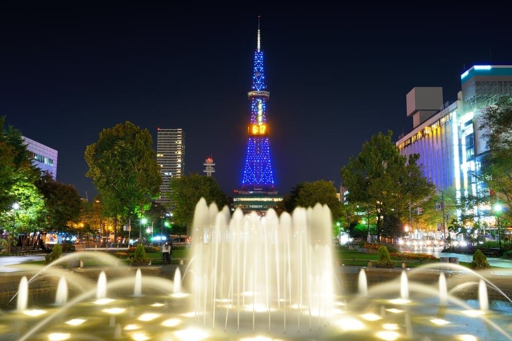 View Malam Hari di Taman Odori