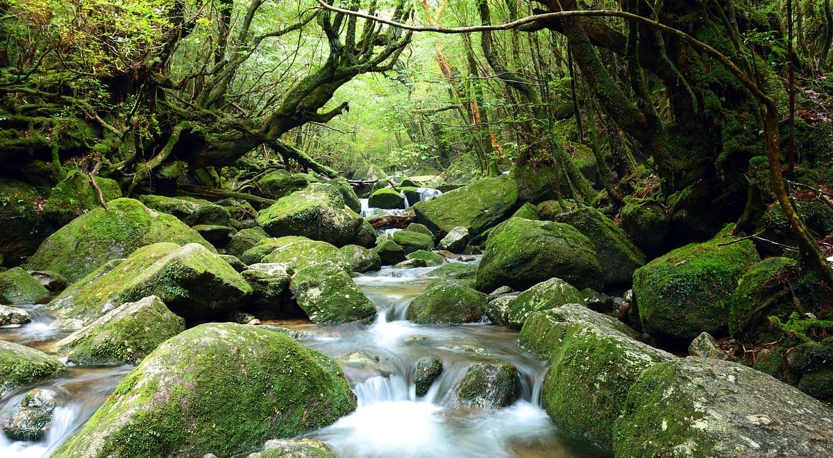 Shiratani Unsuikyo Valley