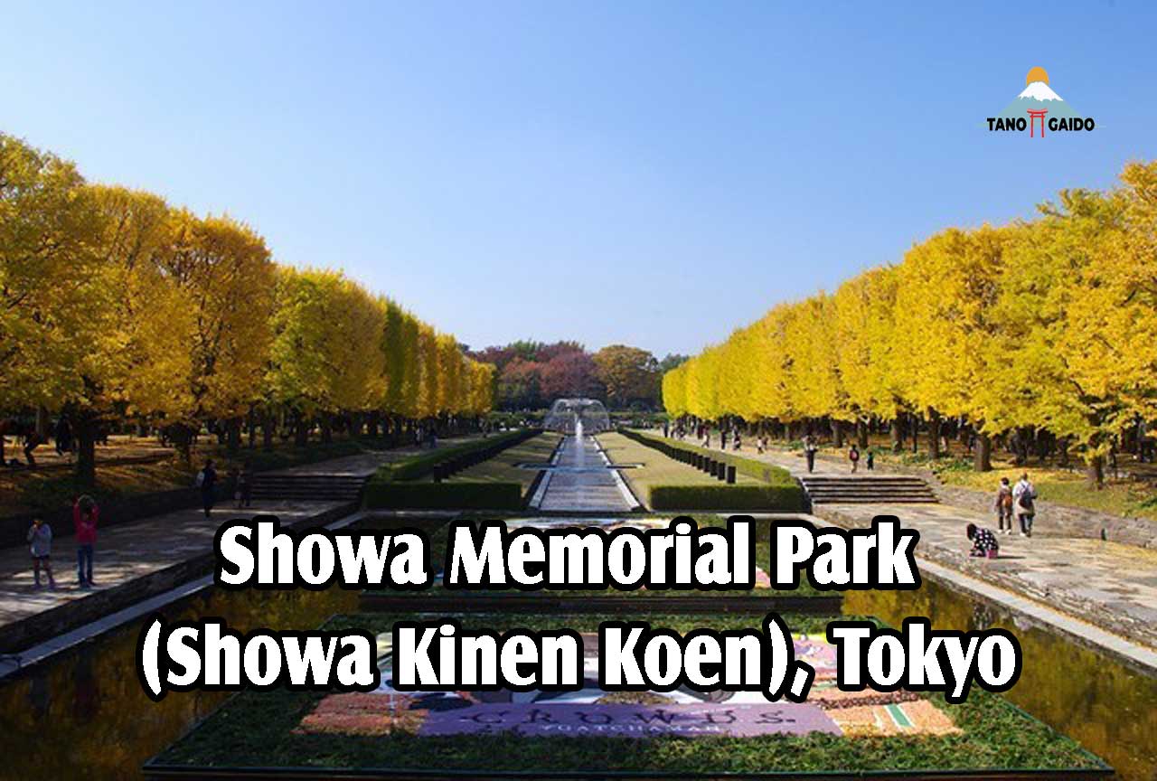 Showa Memorial Park