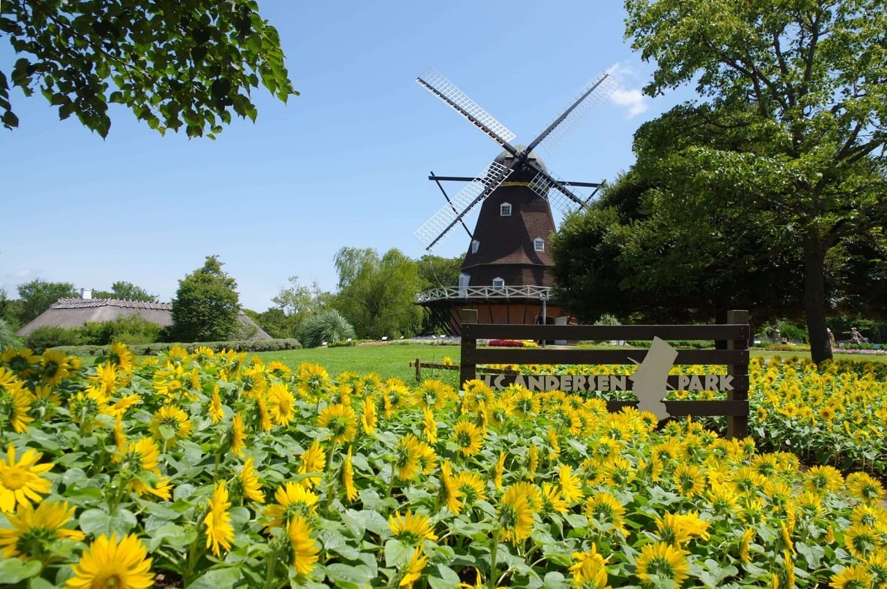 Taman Kincir Di Funabashi Andersen Park