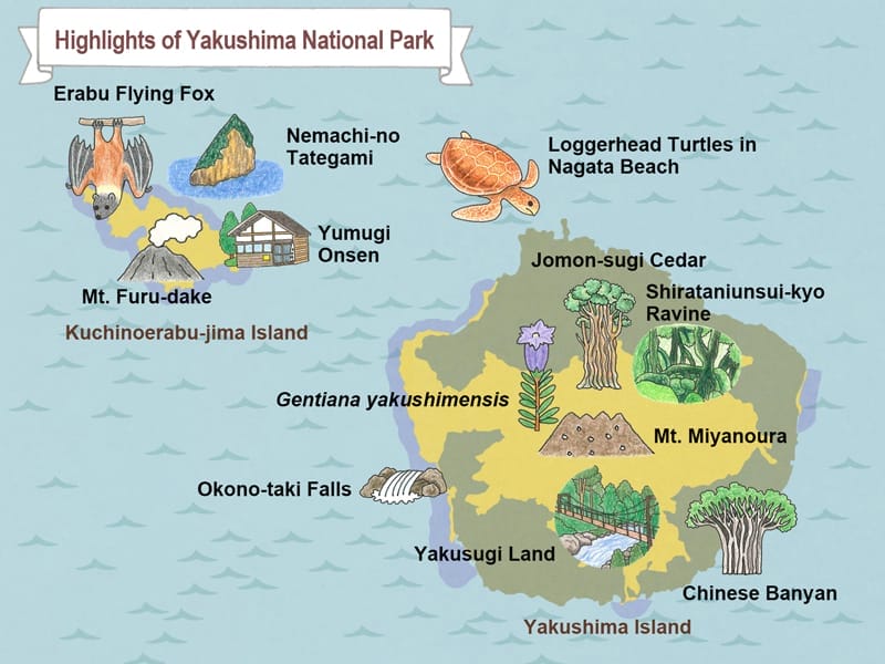 Yakushima (Island) National Park