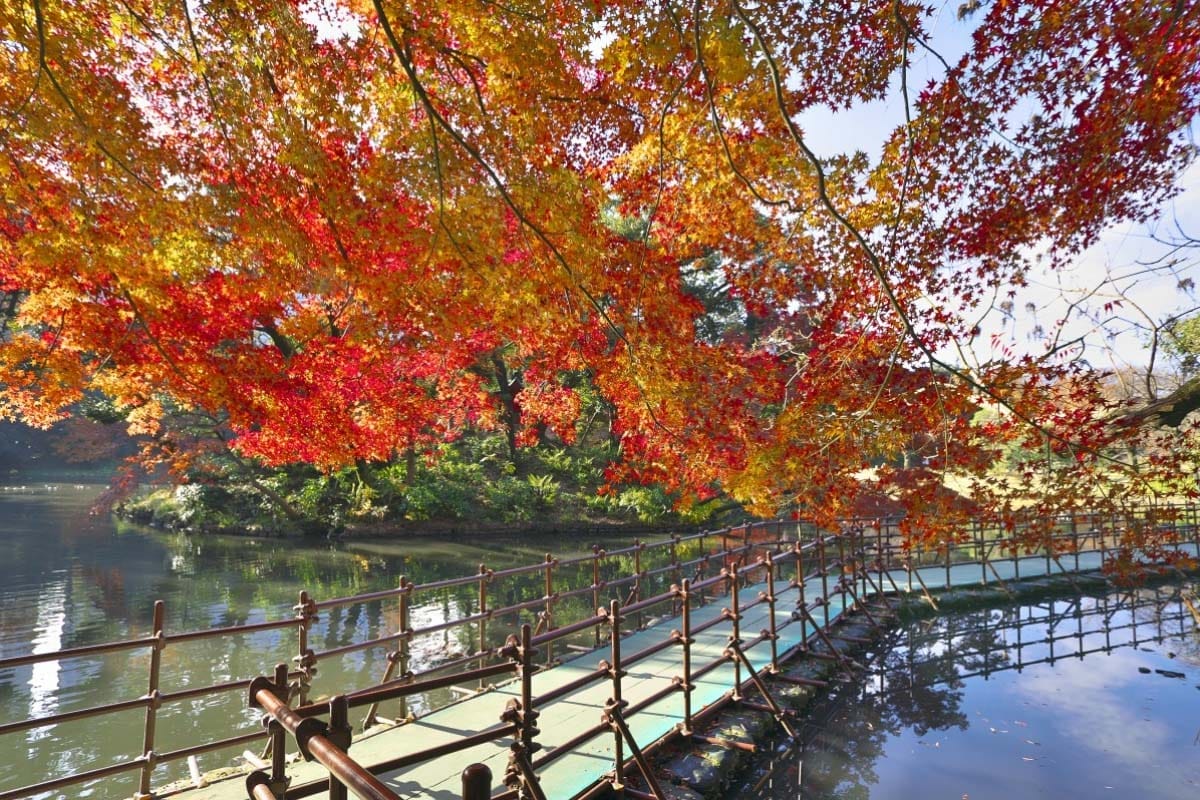 Lanskap Taman Koishikawa Korakuen