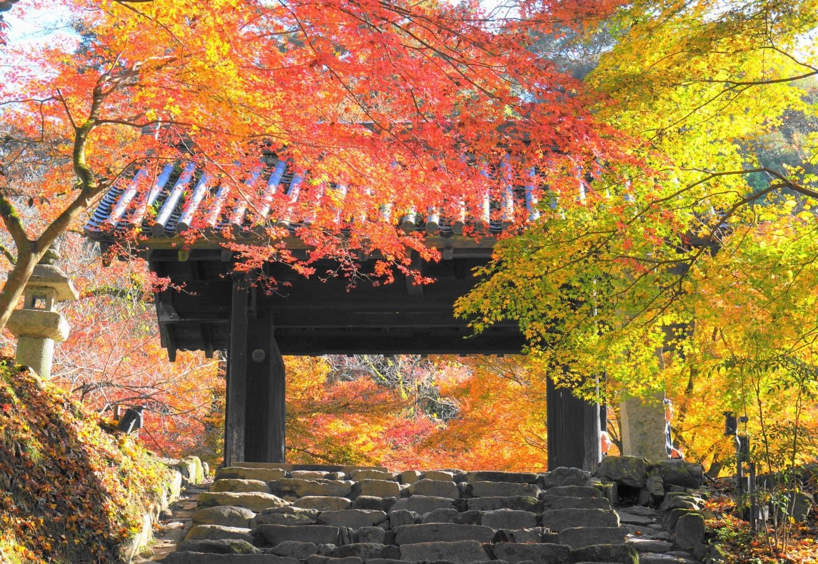 Musim Gugur di Akizuki Castle Ruins