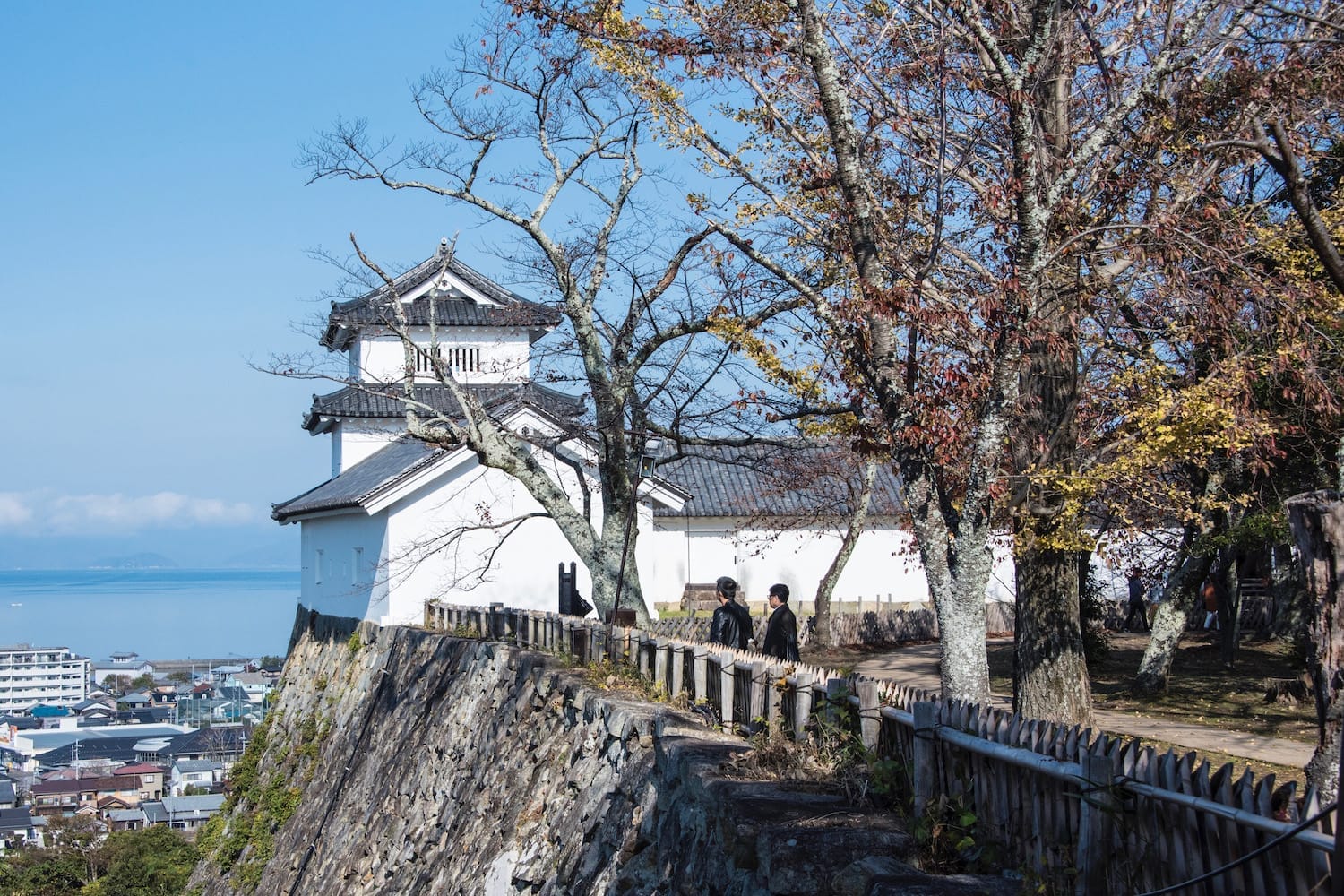 Spot di Hikone Castle