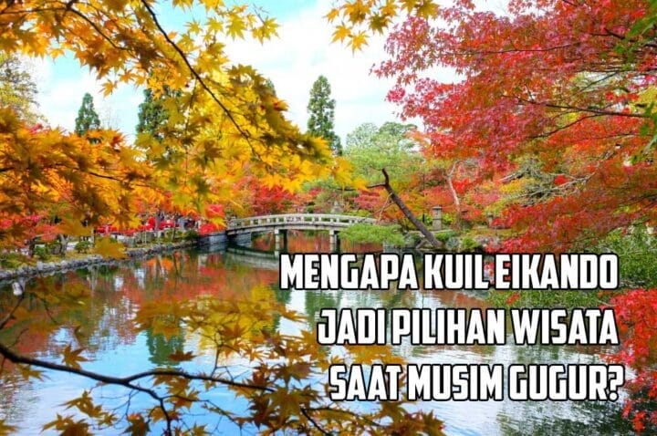 Mengapa Kuil Eikando Jadi Pilihan Wisata Saat Musim Gugur?