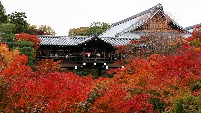 Musim Gugur di Tofukuji Temple