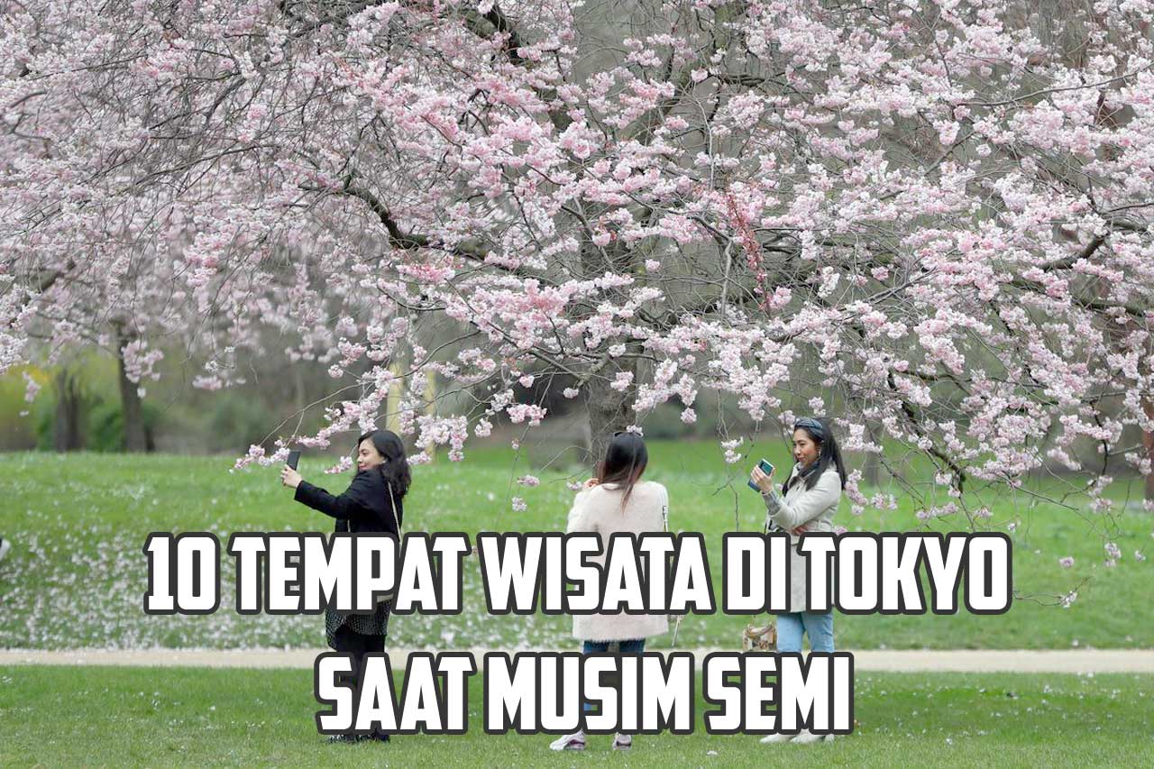 Tempat Wisata Di Tokyo Saat Musim Semi