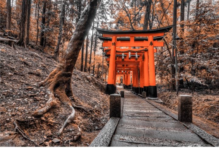 Panduan Lengkap Menyusun Itinerary Wisata di Jepang