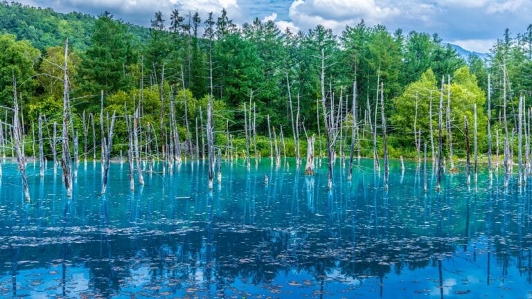 Shirogane Blue Pond, Biei, Hokkaido