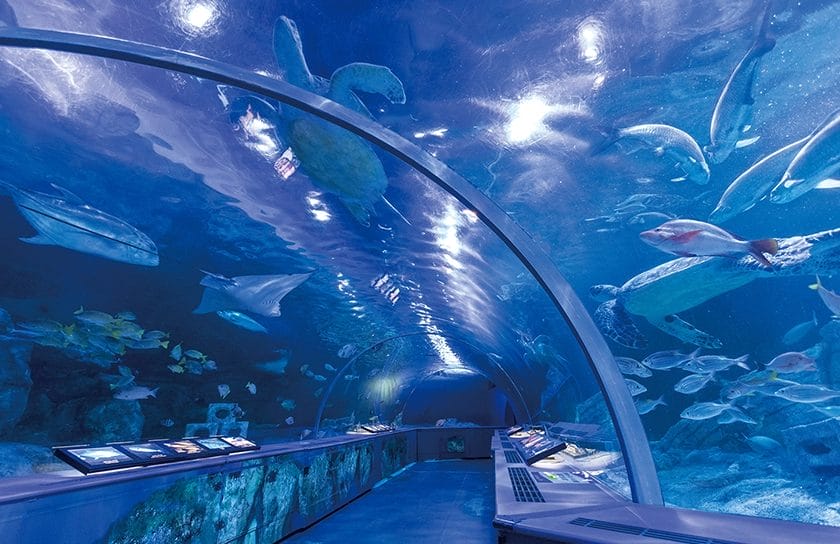 Suasana di Tokyo Sea Life Park