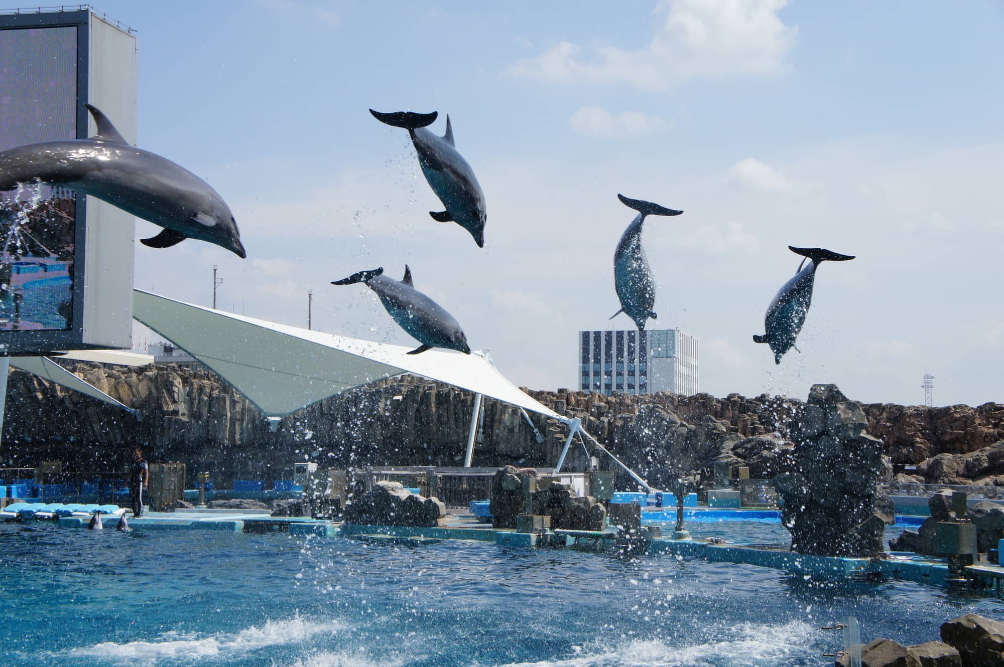 akuarium pelabuhan nagoya port