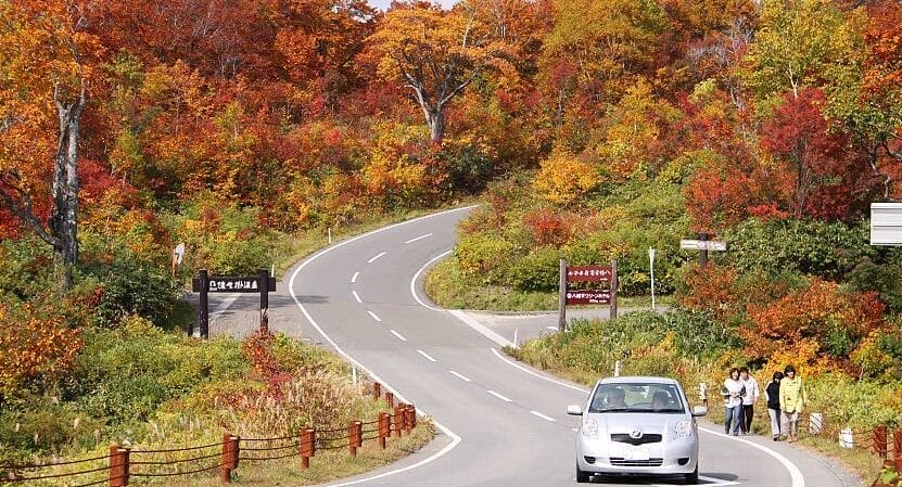 Panduan Sewa Mobil Pribadi di Jepang