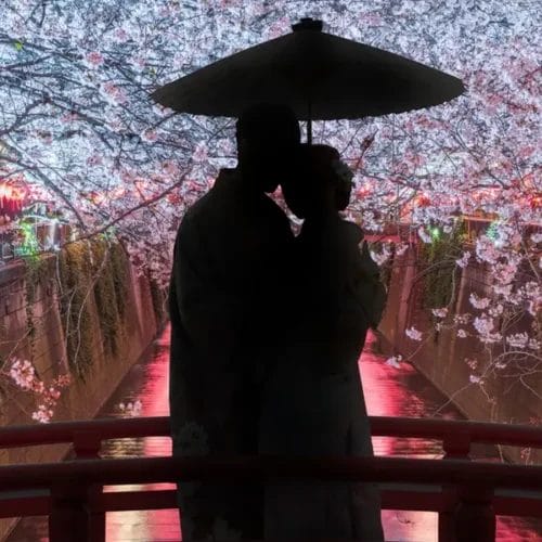 shutterstock_2341739133